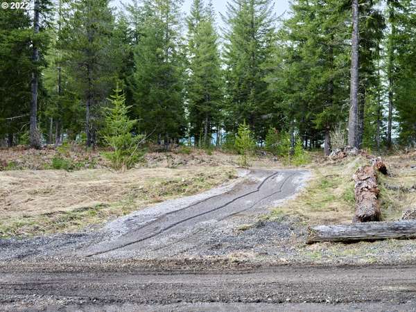 Cougar, WA 98616,4 Loowit LN