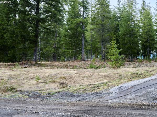 Cougar, WA 98616,4 Loowit LN