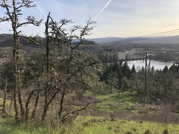 Kalama, WA 98625,Bluff RD