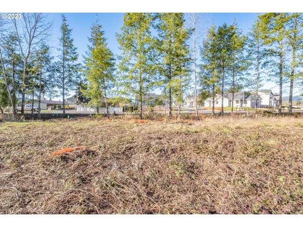 Sweet Home, OR 97386,1345 45th AVE #Lot14