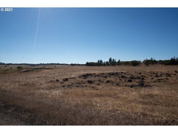 Goldendale, WA 98620,15 GLENKINCHIE RD