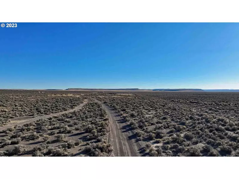 Buffalo Wells RD #T900, Christmas Valley, OR 97641