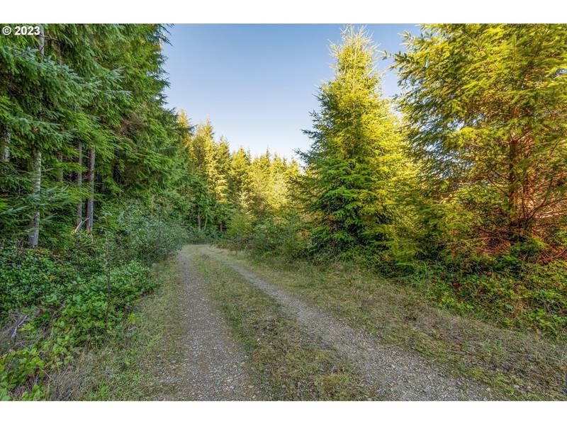 7 Dell Creek Mainline RD, Naselle, WA 98638