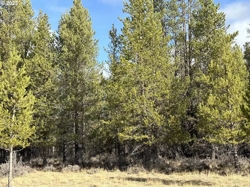 Split Rail RD #6100, La Pine, OR 97739