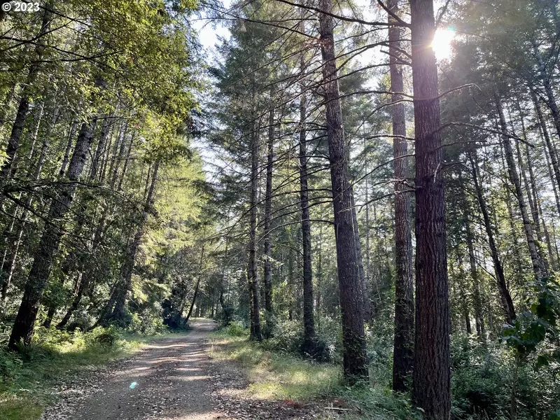 Lupine Way, Gold Beach, OR 97444