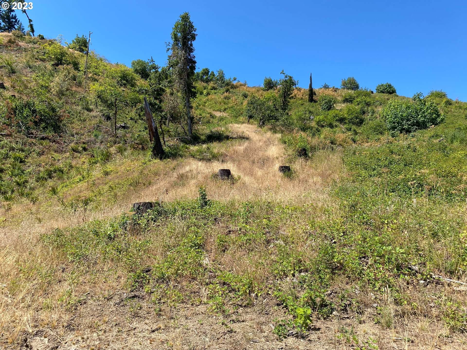 Roseburg, OR 97470,0 Cal Henry RD