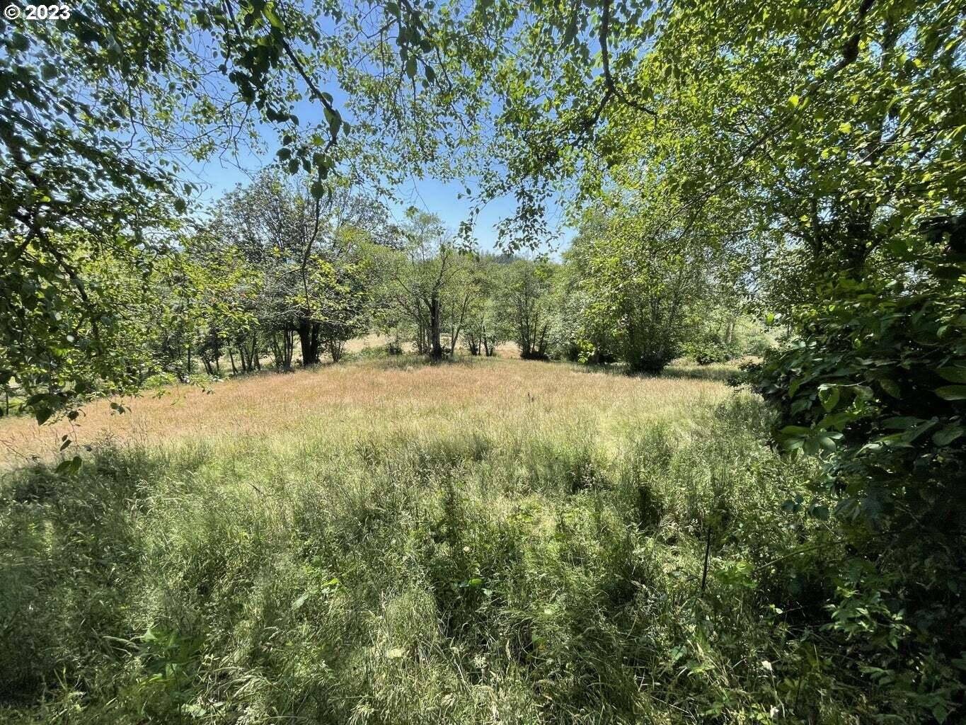 Tillamook, OR 97141,Lot 34 Wapiti Way