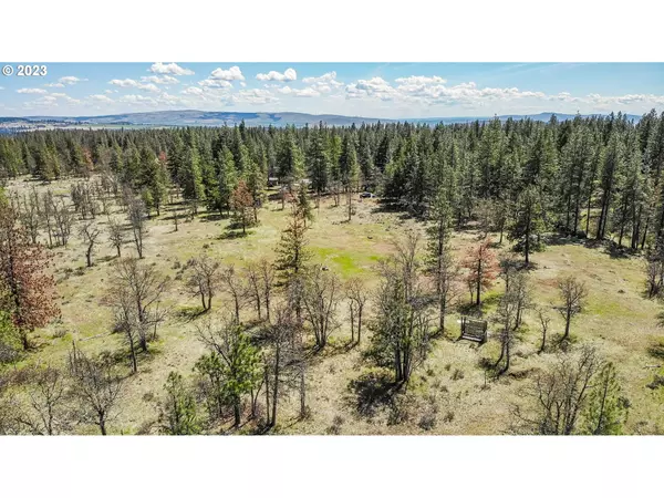 Goldendale, WA 98620,19 Rays WAY