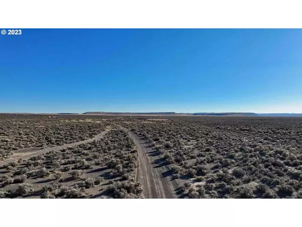 Buffalo Wells RD #T900, Christmas Valley, OR 97641