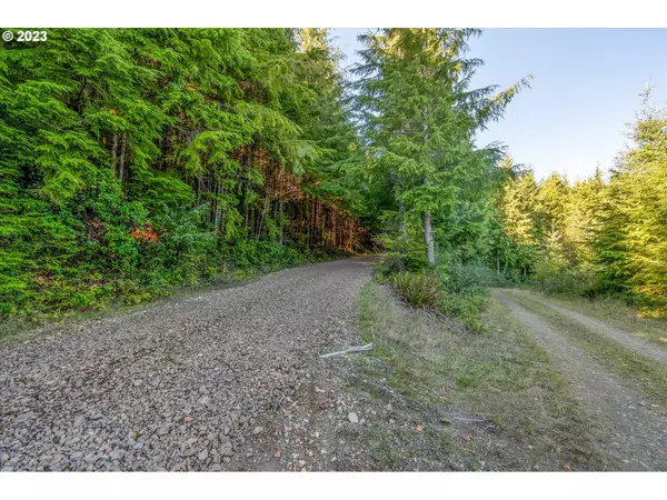 Naselle, WA 98638,7 Dell Creek Mainline RD