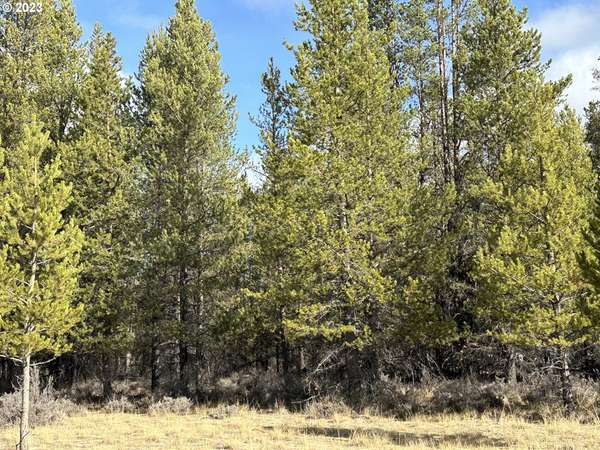 Split Rail RD #6100,  La Pine,  OR 97739