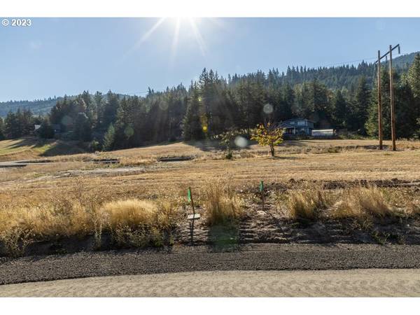 White Salmon, WA 98672,Lot 18 Husum Greens