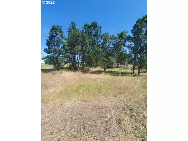 Goldendale, WA 98620,6 Chianti RD