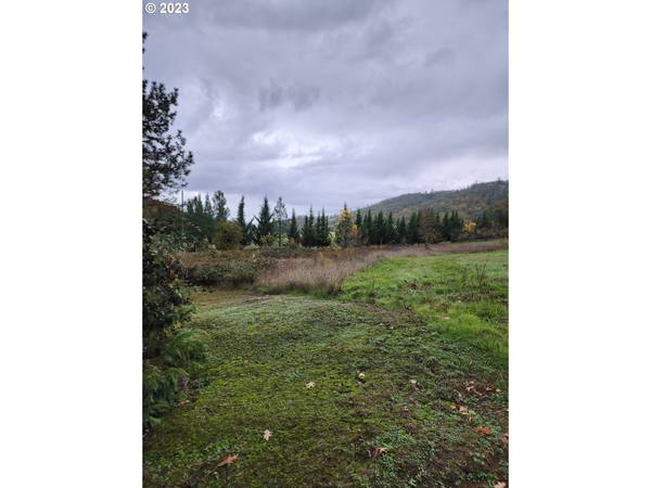 0 CEDAR ST, Riddle, OR 97469