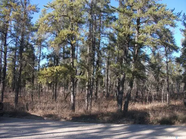 Hudson Bay Rm No. 394, SK S0E 0Y0,Rural Address