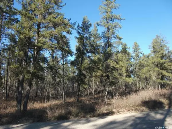 Hudson Bay Rm No. 394, SK S0E 0Y0,Rural Address