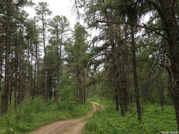 Rural Address, Hudson Bay Rm No. 394, SK S0E 0Y0