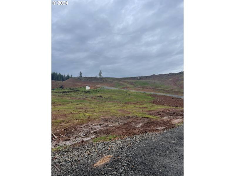 0 Olequa Heights lot N RD, Castle Rock, WA 98611