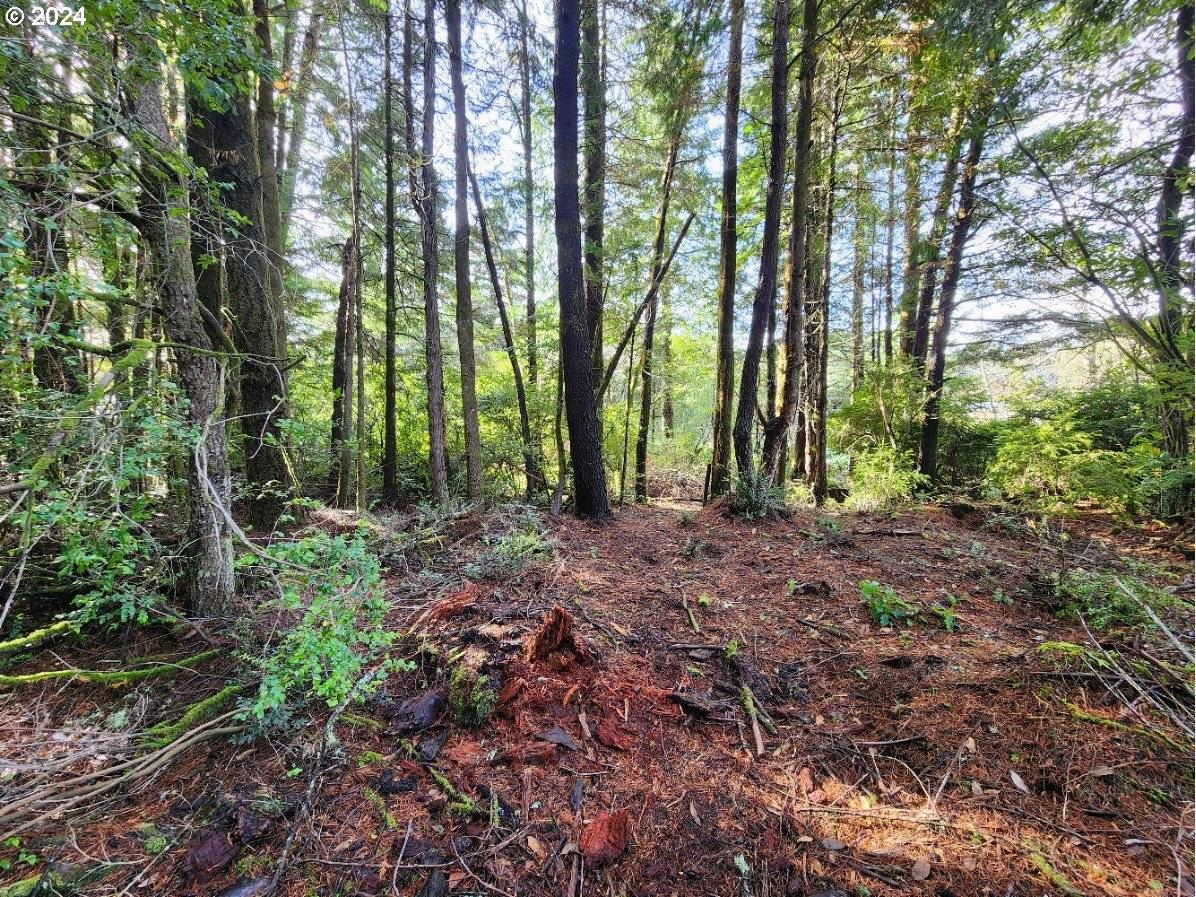 Port Orford, OR 97465,Kreiger LN #122