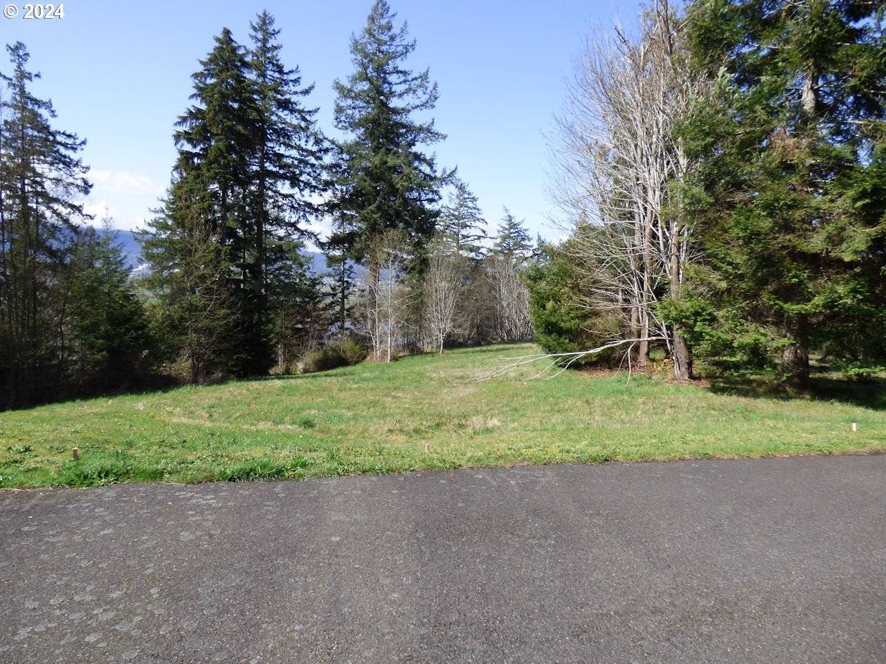 Cathlamet, WA 98612,0000 RIVERVIEW EAST- 6439 RD