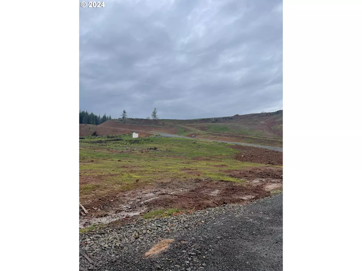 Castle Rock, WA 98611,0 Olequa Heights lot H RD