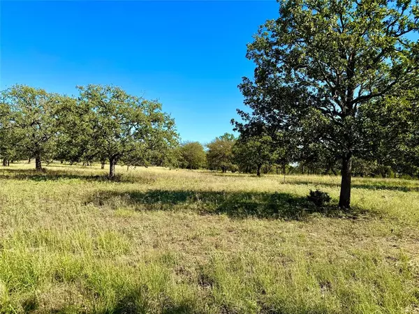 Mineral Wells, TX 76067,TBD Lot 4 Hwy 281 N