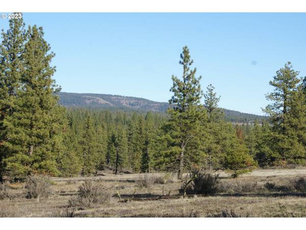 Jenkins Creek RD, Goldendale, WA 98620