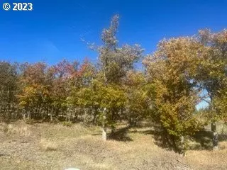 Whitney Drive, Goldendale, WA 98620