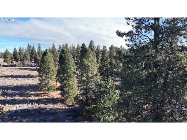 Chiloquin, OR 97624,Shoshoni WAY #Lot ~ 4