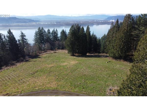 Longview, WA 98632,171 W NEWT ESTATES RD