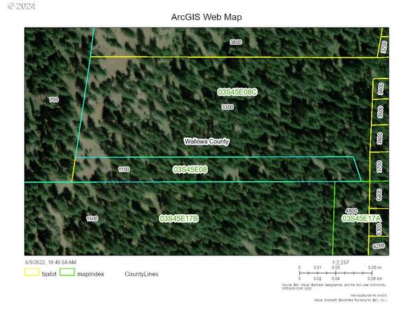 Wallowa Lake, OR 97846,03S4508 tax Lot 1100