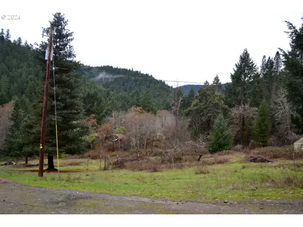 Wolf Creek, OR 97497,484 BRIMSTONE RD