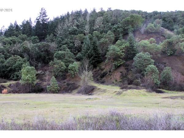 Myrtle Creek, OR 97457,0 HORIZON LN