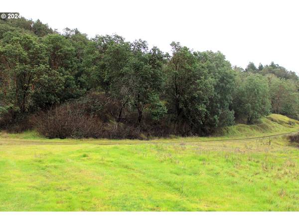 Myrtle Creek, OR 97457,0 HORIZON LN