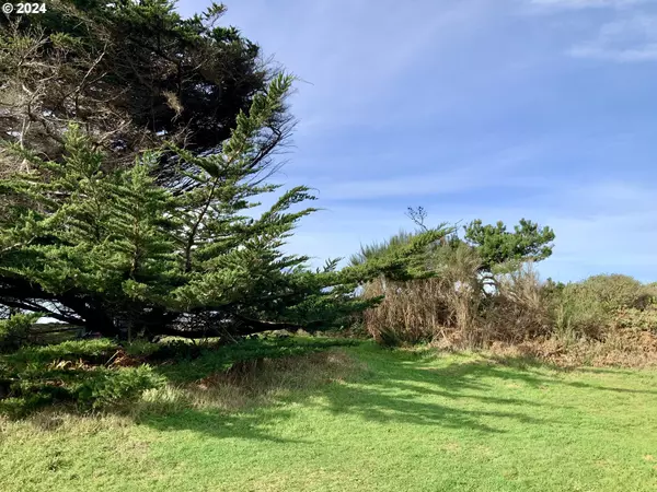 Gold Beach, OR 97444,000 Surfside DR #1101