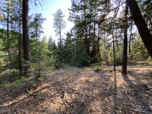 FOREST GLEN, Goldendale, WA 98620