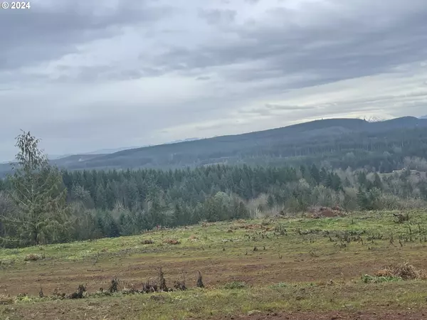 Castle Rock, WA 98611,0 Olequa Heights lot N RD