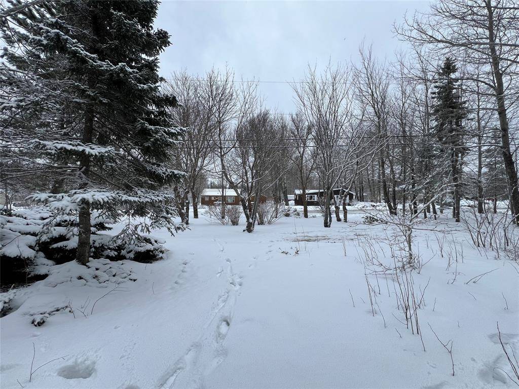 Grand Falls-windsor, NL A2A 2J2,285 Grenfell Heights