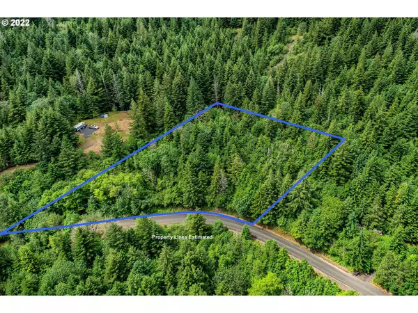 ARCHER MOUNTAIN RD, Skamania, WA 98648