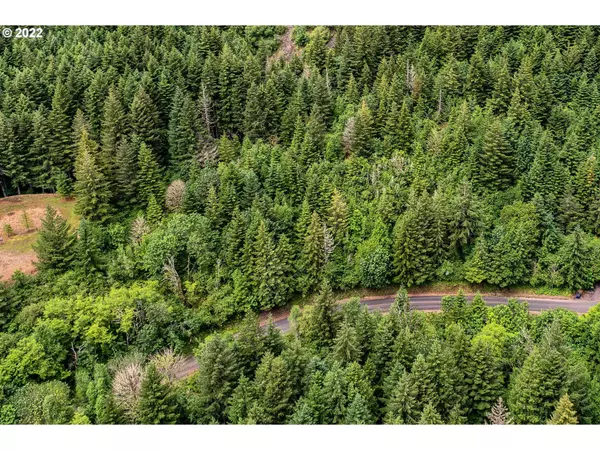 Skamania, WA 98648,ARCHER MOUNTAIN RD