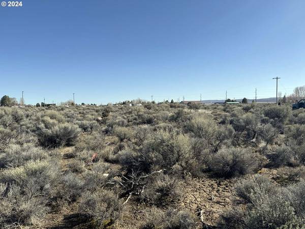 Larch ST #100, Christmas Valley, OR 97641