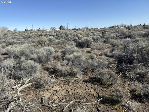 Larch ST #100, Christmas Valley, OR 97641