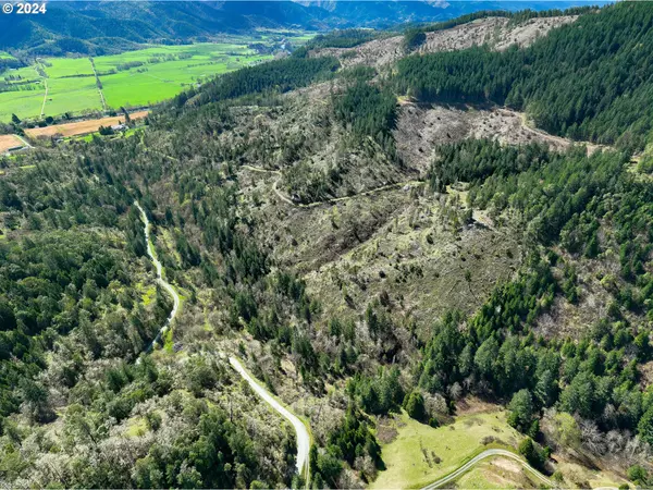 Canyonville, OR 97417,DAYS CREEK CUTOFF RD