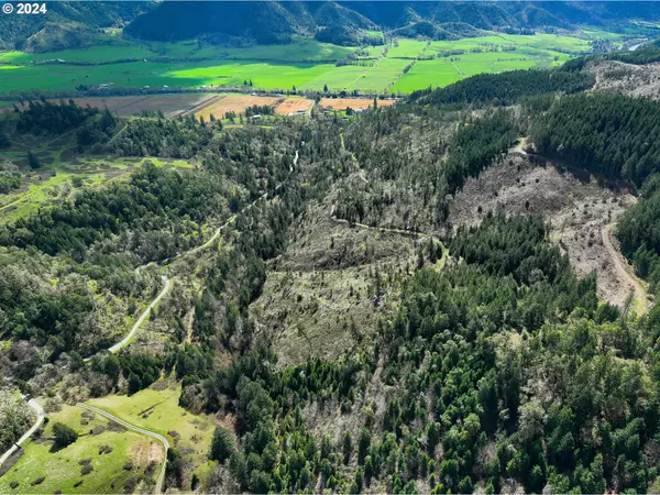 Canyonville, OR 97417,DAYS CREEK CUTOFF RD