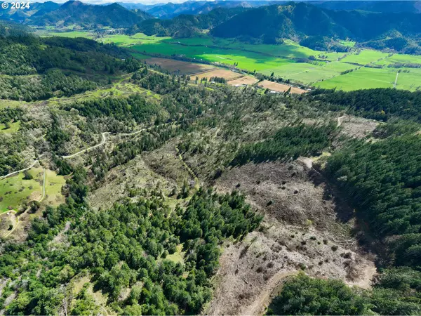 Canyonville, OR 97417,DAYS CREEK CUTOFF RD