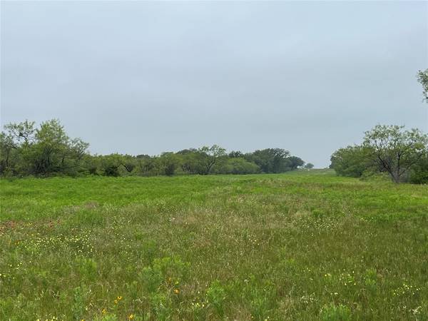 Cisco, TX 76437,140+-Acres Co Road 137