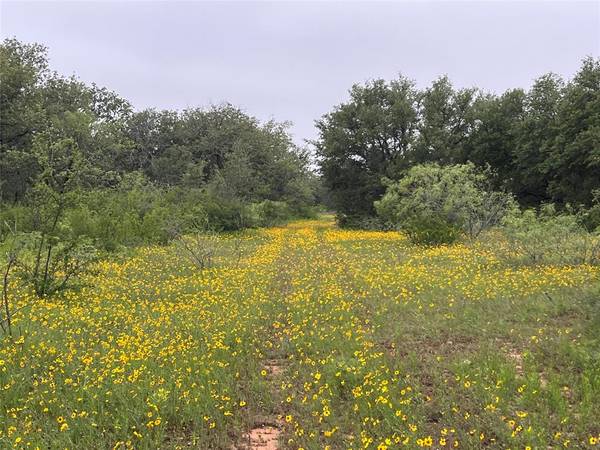 Cisco, TX 76437,140+-Acres Co Road 137