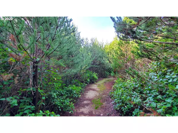 Waldport, OR 97394,Sitka Ridge CT