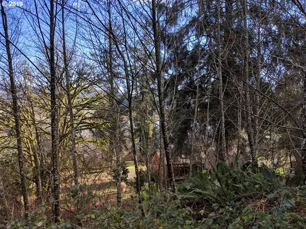 Nehalem, OR 97131,Nehalem Point DR #Lot26