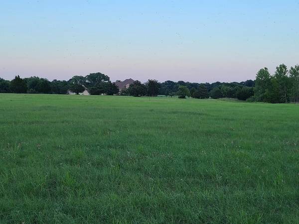 Princeton, TX 75407,Lot 2 County Road 561